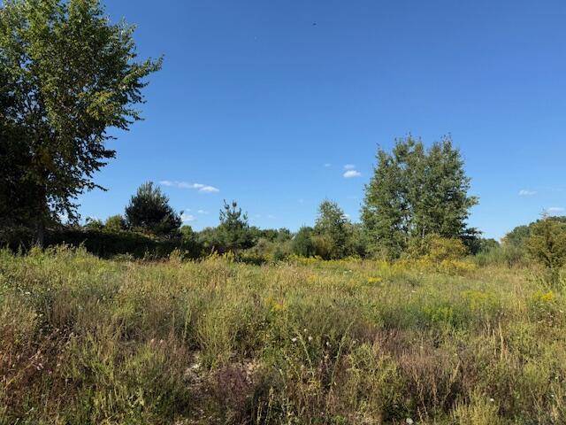 Ashland Twp, MI 49327,10201 Mason Drive