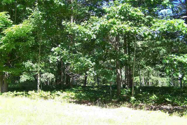 Whitney Twp, MI 48763,0 Huron Woods Drive Lot: 6