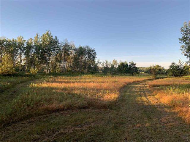 Sherman Twp, MI 48765,4616 Turtle Road Lot: Parcel