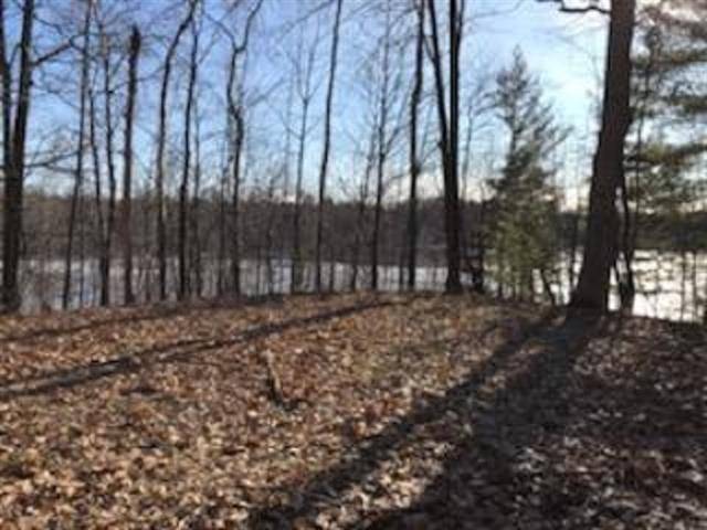 Moffatt Twp, MI 48610,N/A Ringneck Trail Lot: 38