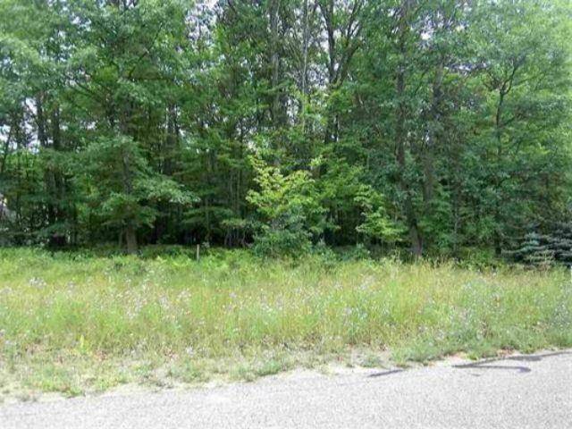 Markey Twp, MI 48653,Lot 13 Robin Hood