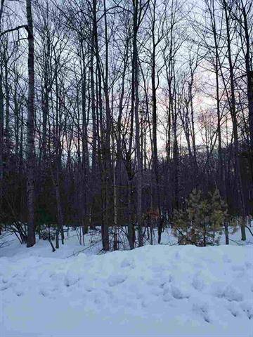 Moffatt Twp, MI 48610,0 Wilderness Circle LOTS 399-400 Lot: 399