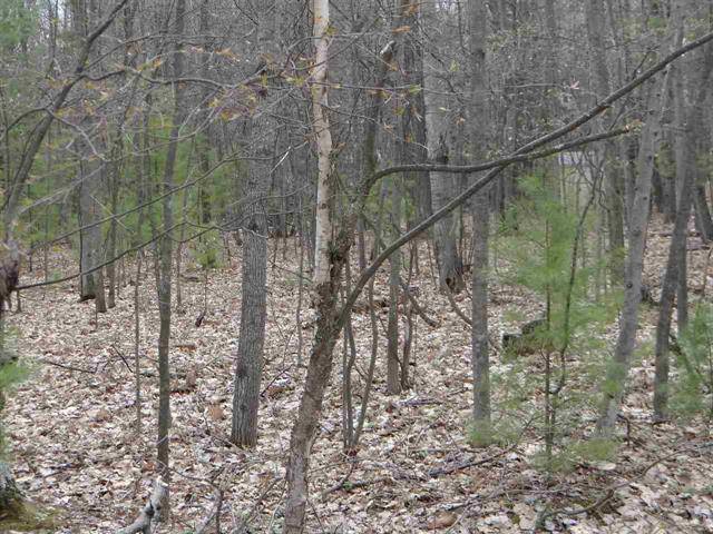 Moffatt Twp, MI 48610,0 Wilderness Drive 369-370 Lot: 369-70