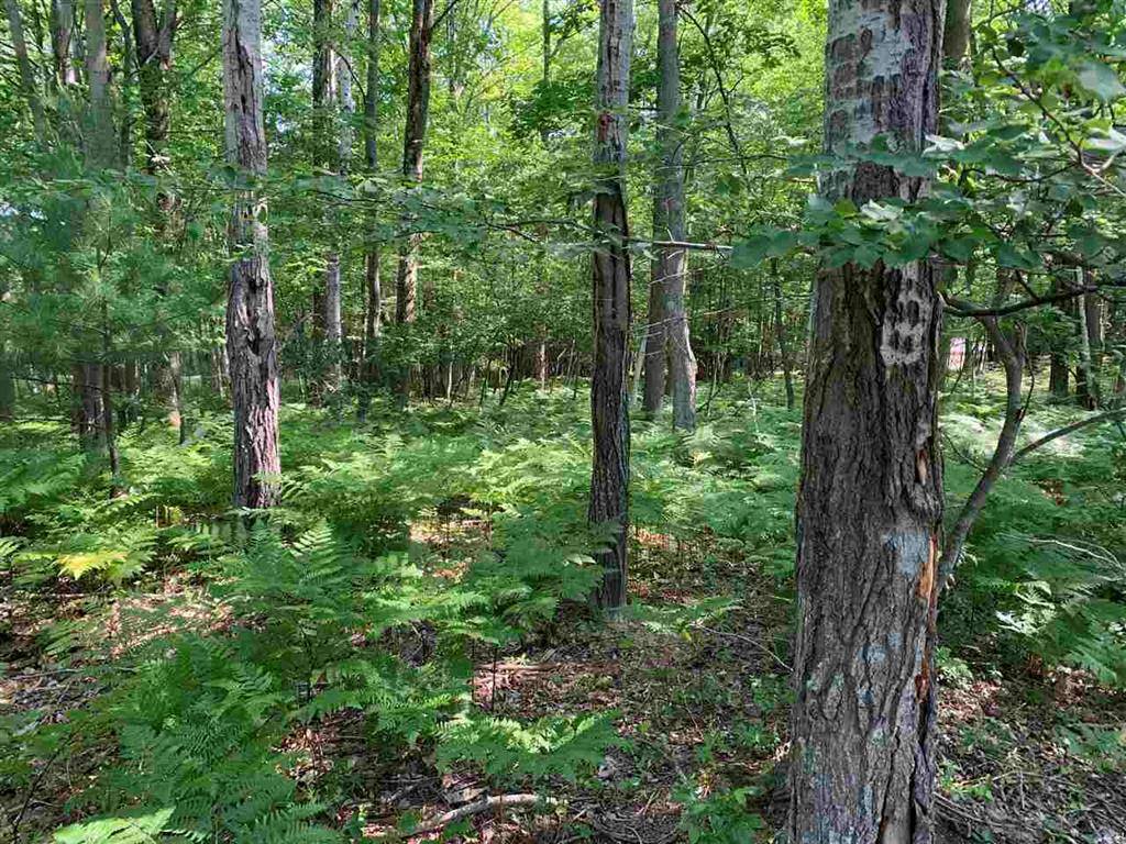 Standish Twp, MI 48658,NKA Fairway