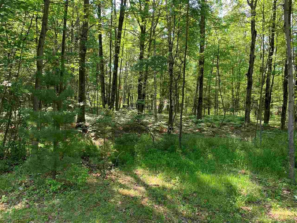 Standish Twp, MI 48658,NKA Fairway