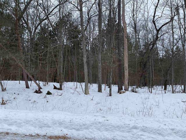 Klacking Twp, MI 48661,0 Logging Trail Lot: 21