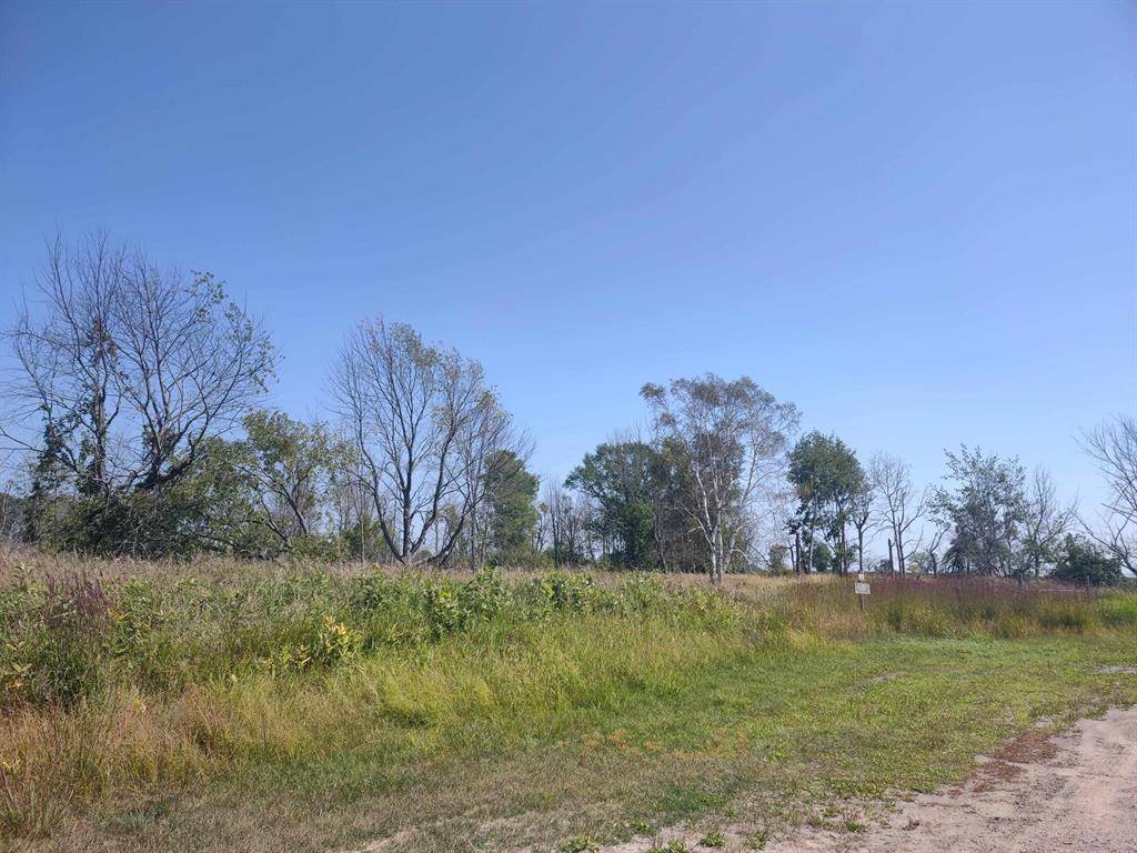 Au Gres Twp, MI 48703,N/A Swenson Road