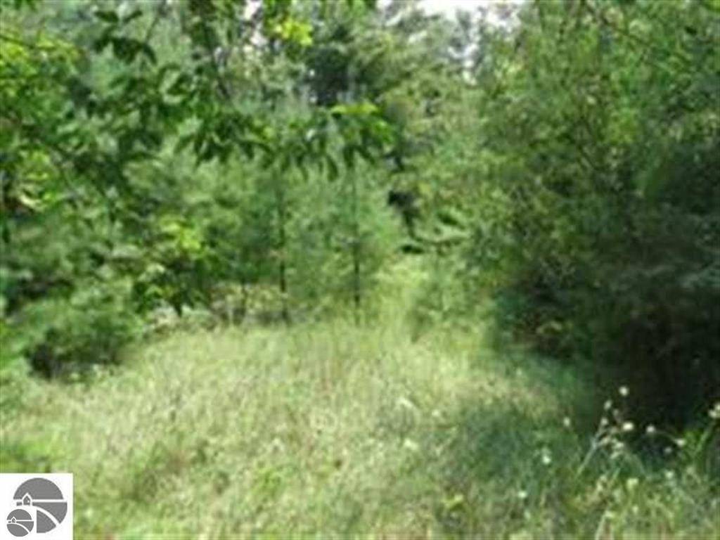 Tawas Twp, MI 48763,-0- M-55 17.4