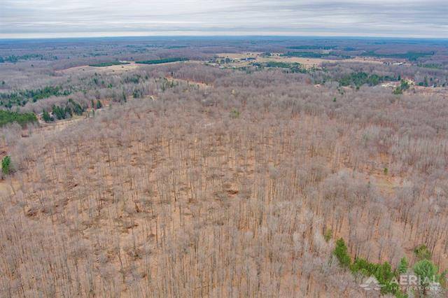 Maple Forest Twp, MI 49733,0 Outback Trail