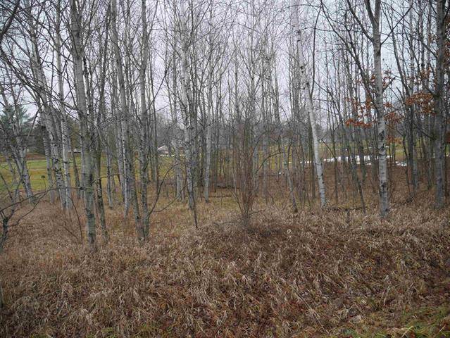 Butman Twp, MI 48624,00 Linksview LOT 222