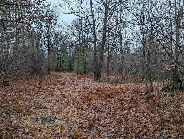 Grim Twp, MI 48613,2002 Klender