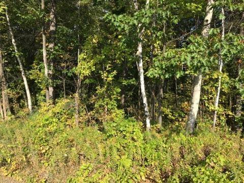 Whitney Twp, MI 48763,N/A Huron US-23