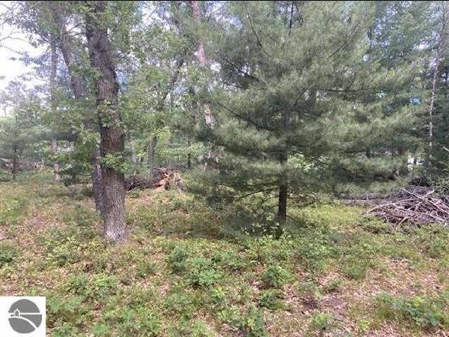 Moffatt Twp, MI 48610,00 Whitetail Lot 115