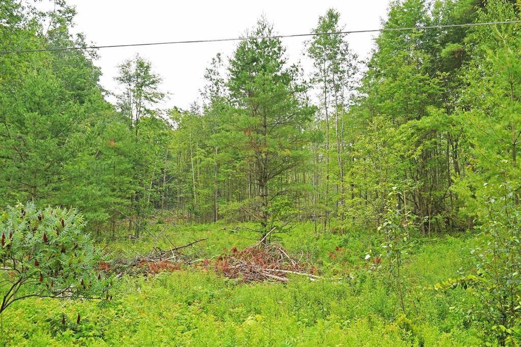 Greenbush Twp, MI 48738,Parcel H F-30