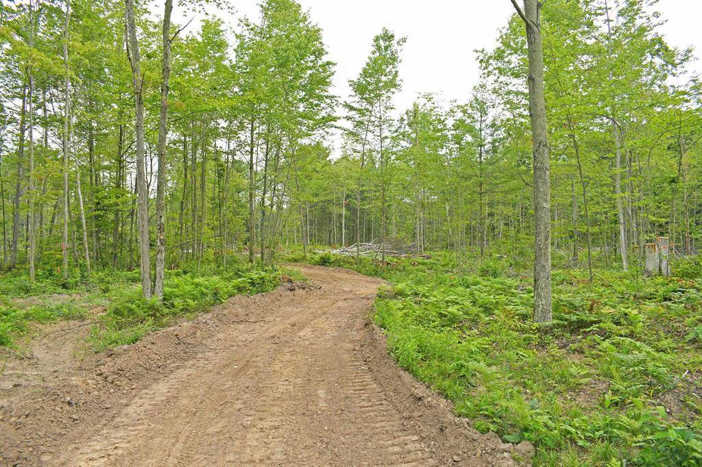 Greenbush Twp, MI 48738,Parcel H F-30