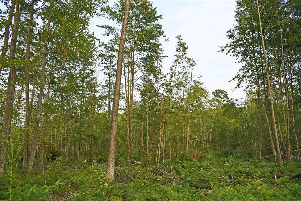 Greenbush Twp, MI 48738,Parcel J Road TBD