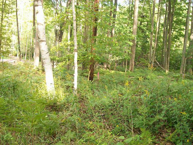 Mills Twp, MI 48661,LOT 484 N Ogemaw