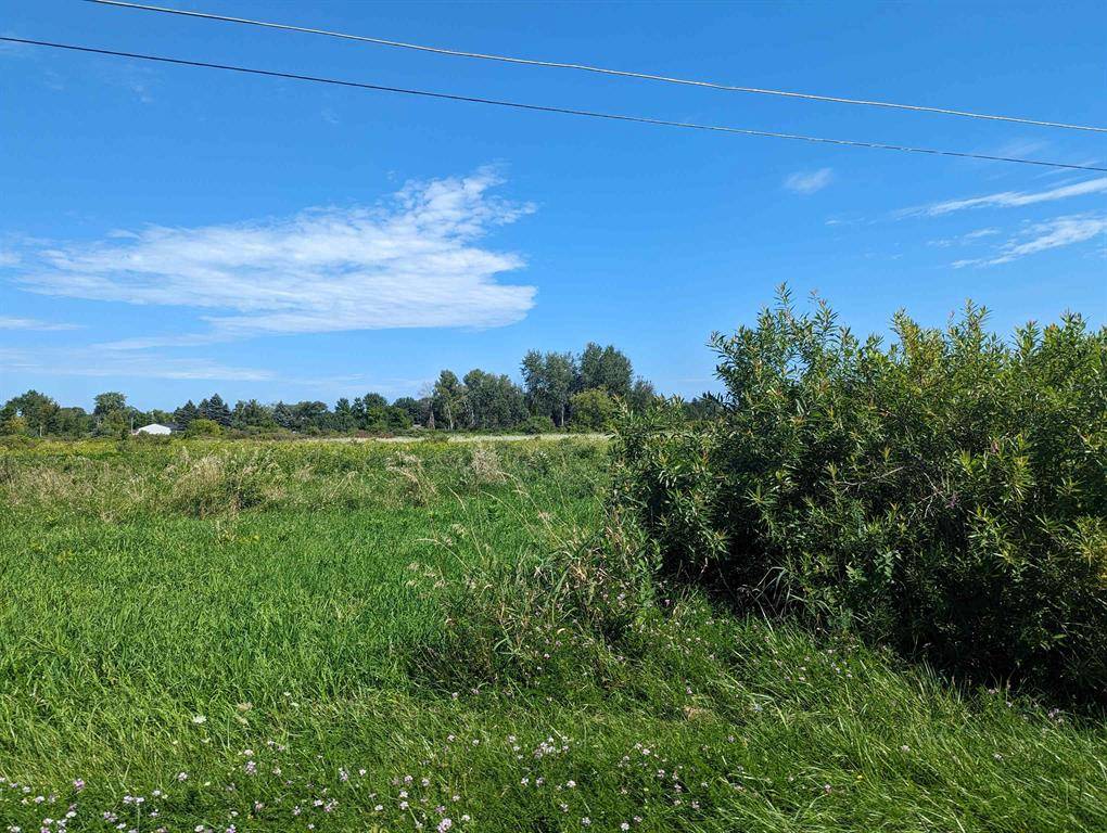 Au Gres Twp, MI 48703,0 S Court Street Lot: 2