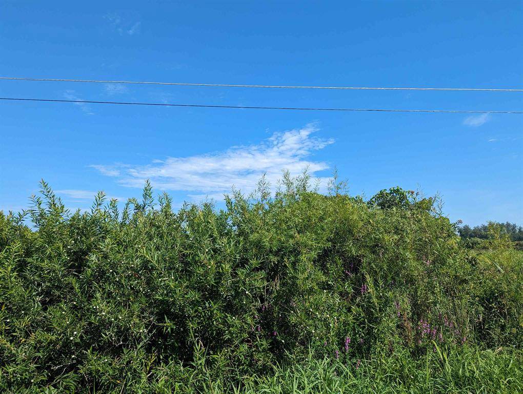 Au Gres Twp, MI 48703,0 S Court Street Lot: 3