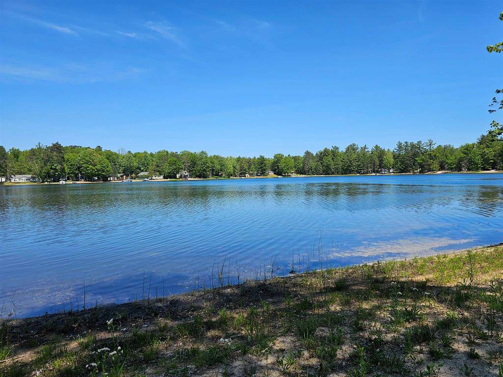 Hale, MI 48739,5934 Chippewa Trail Lot: 4