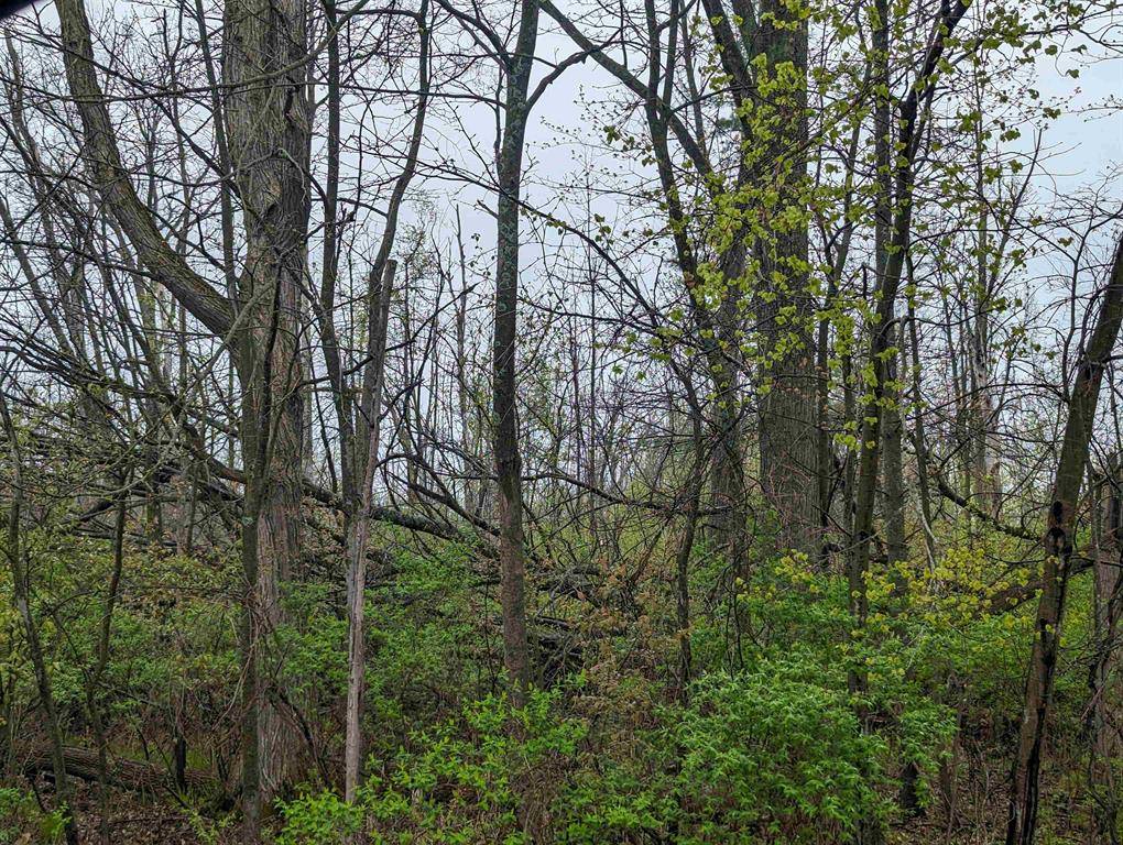 Arenac Twp, MI 48749,N/A Carrington Street