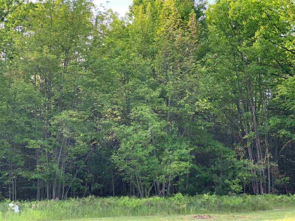 Denton Twp, MI 48629,XXX W Houghton Lake Drive