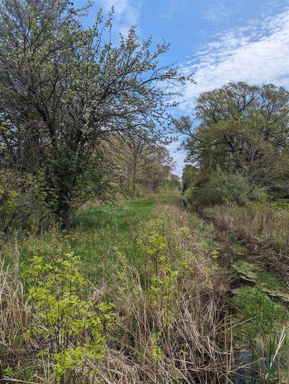 Au Gres Twp, MI 48703,N/A Santiago Road