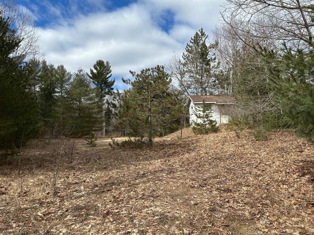 Greenbush Twp, MI 48738,0000 W Cedar Lake Road