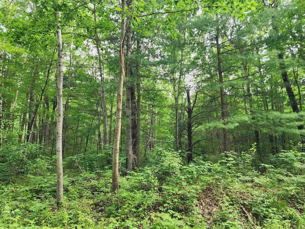 Franklin Twp, MI 48625,00 Pineview