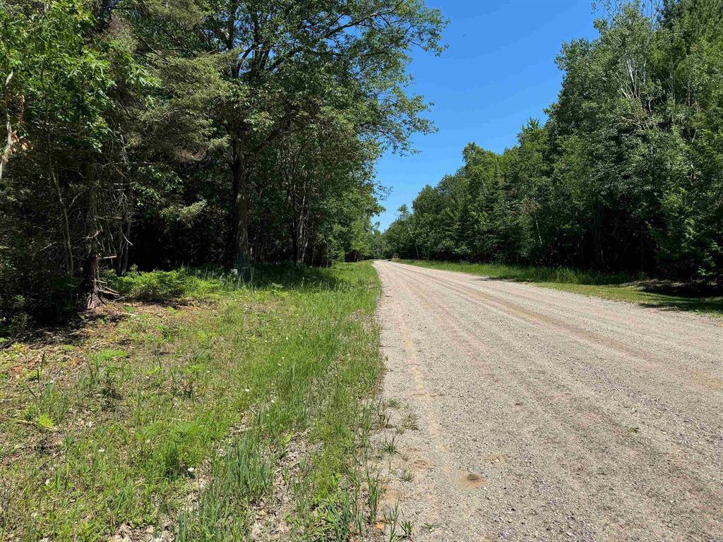 Oscoda Twp, MI 48750,00 W Woodlea Road