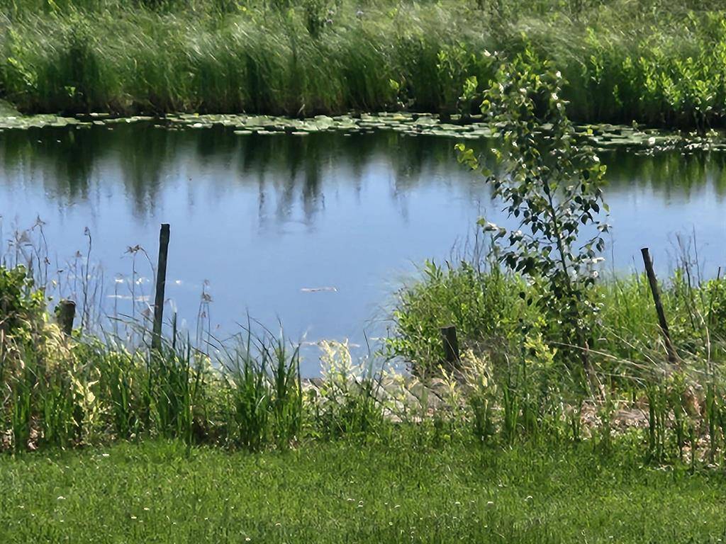 Logan Twp, MI 48739,0 E State