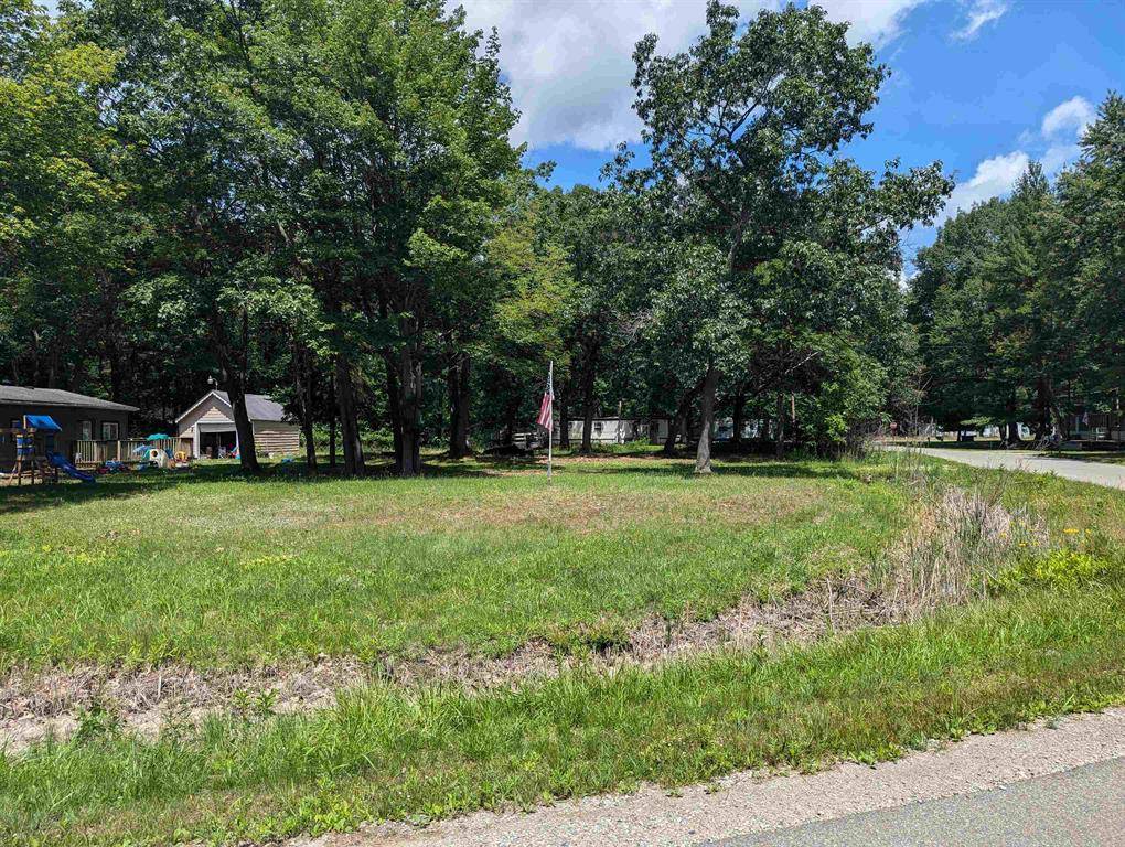 Sims Twp, MI 48703,N/A Anne Street Lot: 31