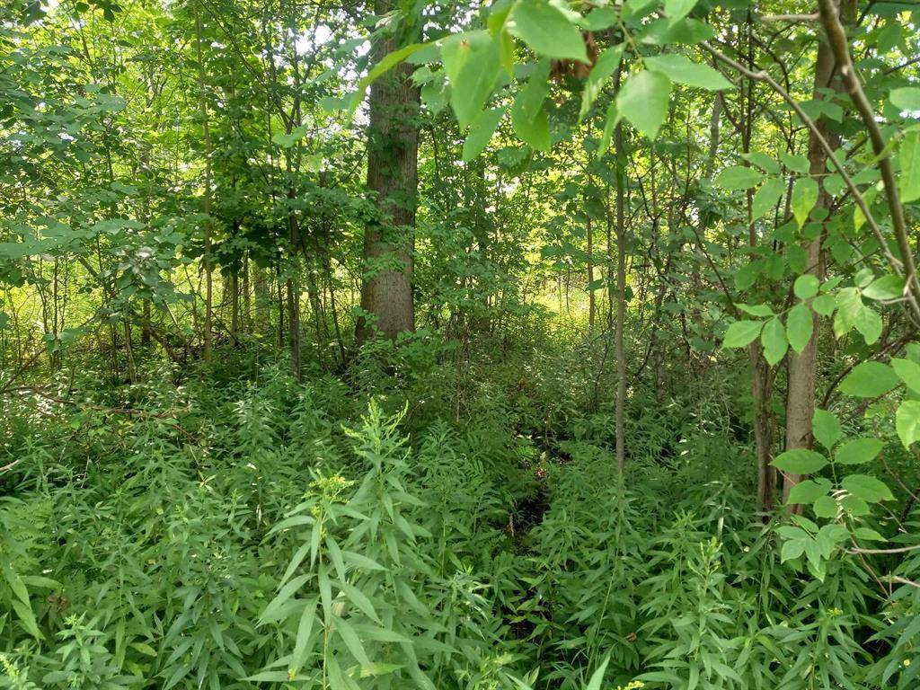 Sims Twp, MI 48703,NA E Huron Road