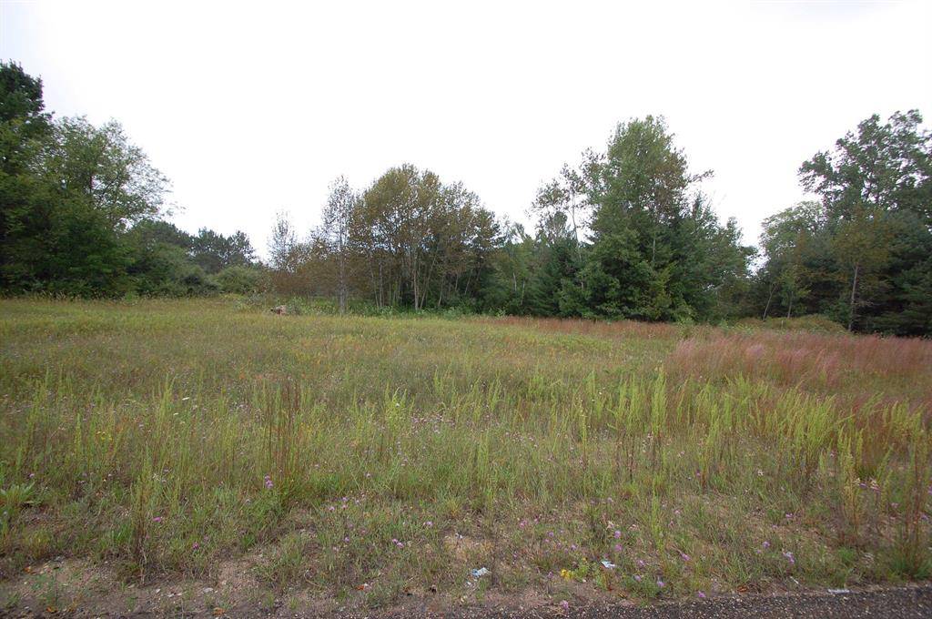 West Branch Twp, MI 48661,0 Jonathan Court Lot: 9