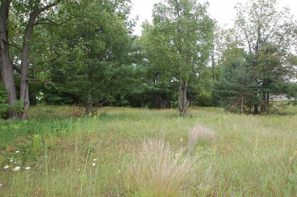 West Branch Twp, MI 48661,0 Jonathan Court
