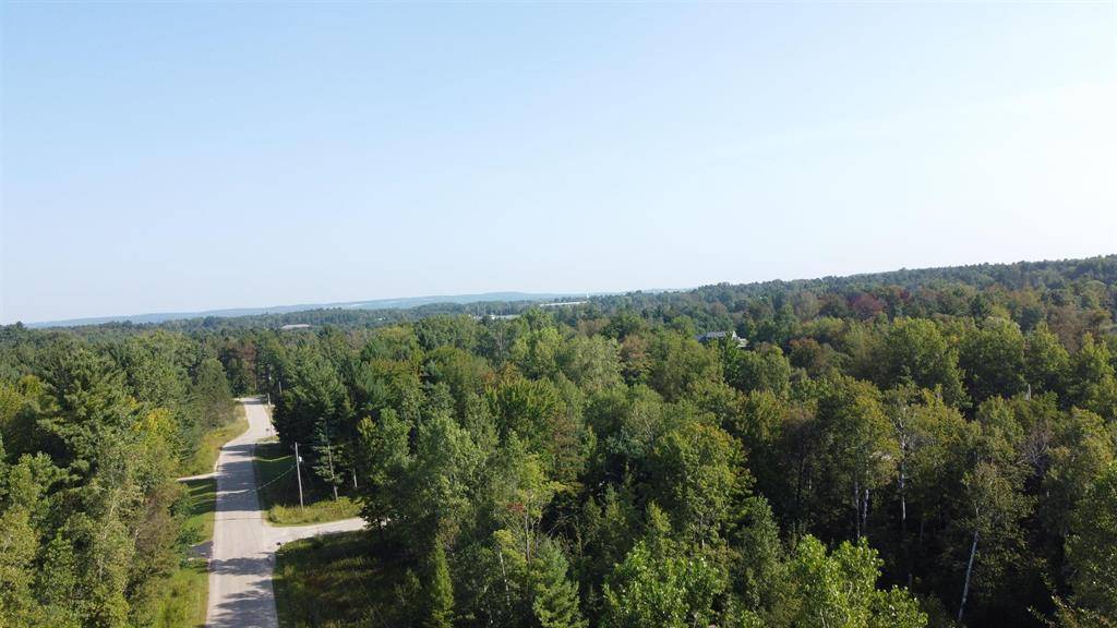 West Branch Twp, MI 48661,0 Arthur Court Lot: 17