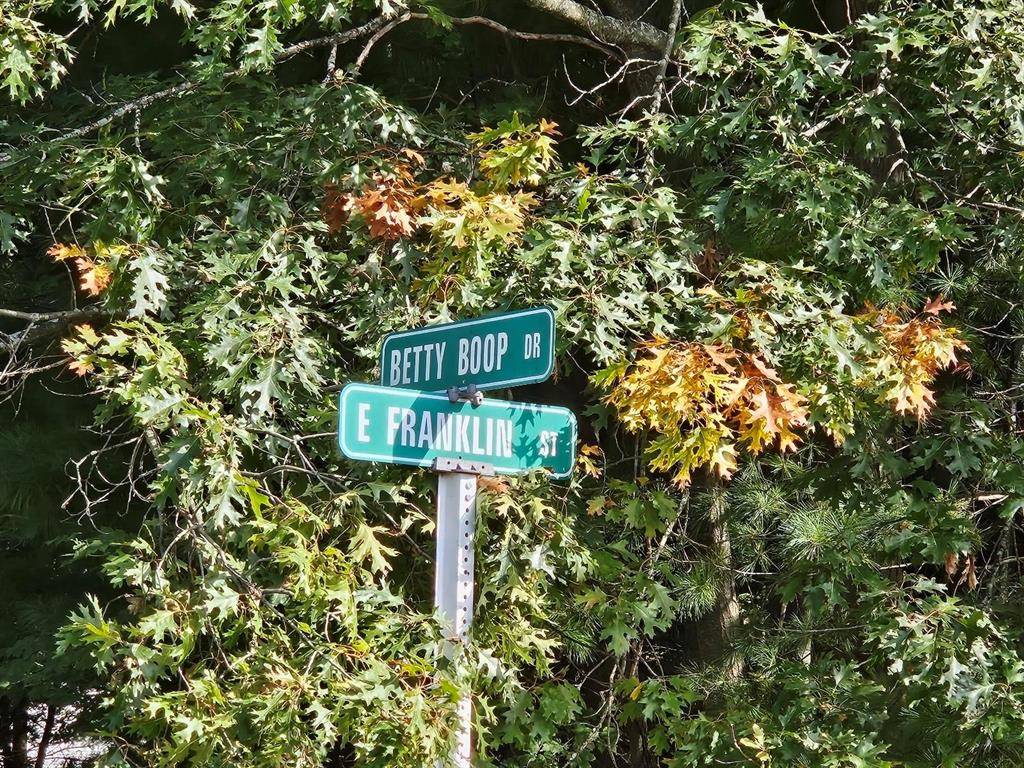 Baldwin Twp, MI 48730,615 E Franklin Street