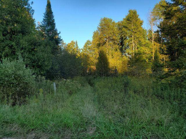 Mills Twp, MI 49756,5753 River Valley Drive Lot: 51