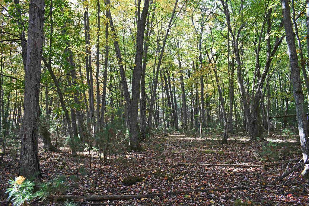 Baldwin Twp, MI 48730,01 Rainbow Drive
