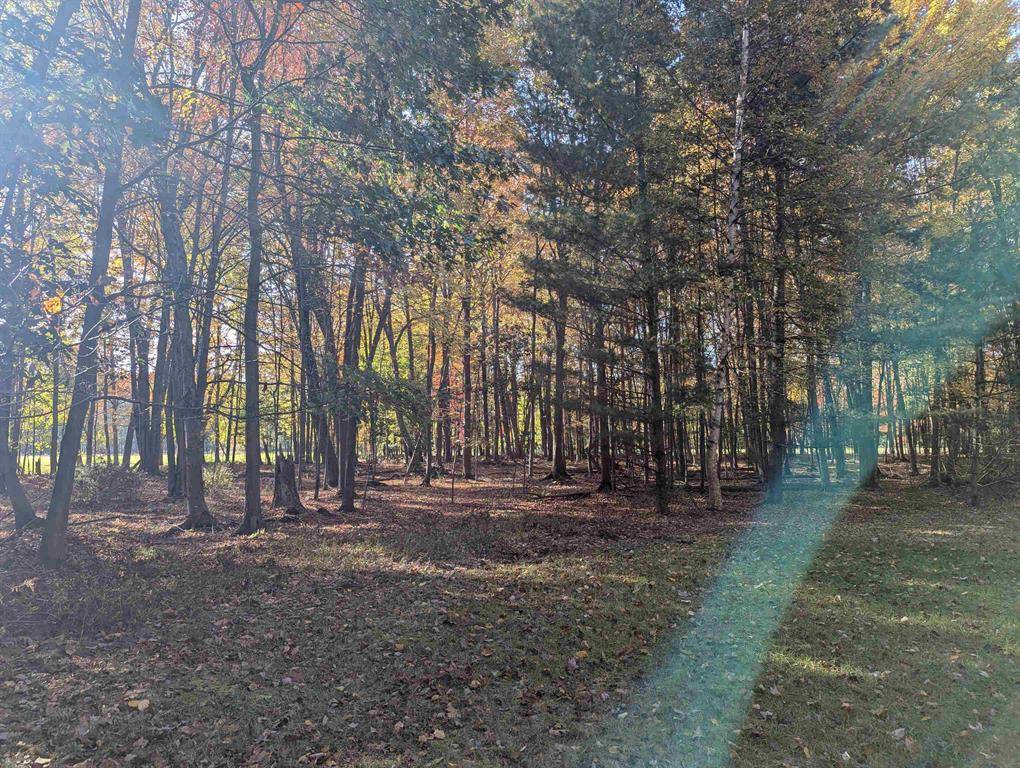 Sims Twp, MI 48703,N/A Huron Breeze Drive