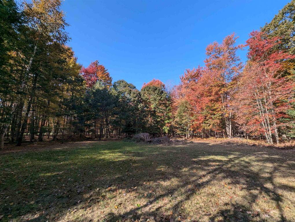 Sims Twp, MI 48703,N/A Huron Breeze Drive