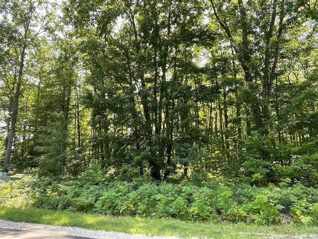 Roscommon Twp, MI 48629,XXX Home Acres Drive LOT 13