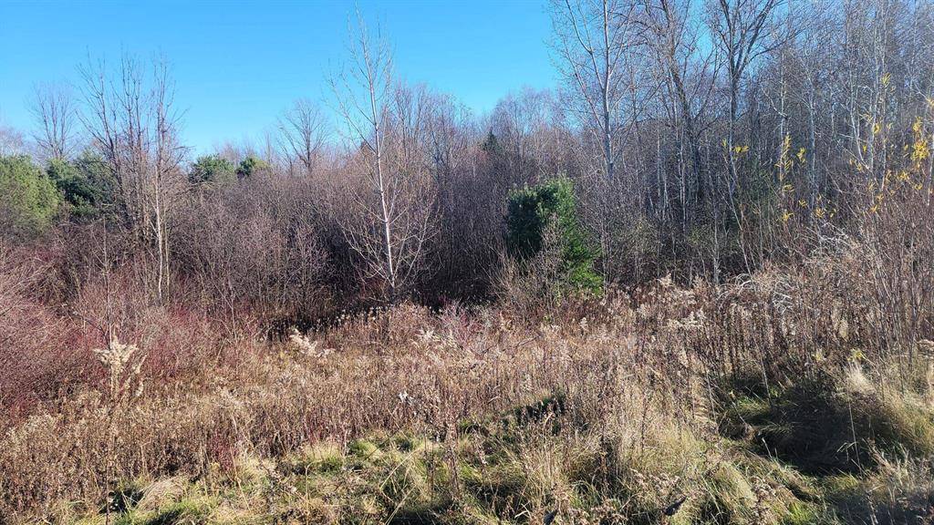 Roscommon Twp, MI 48629,XXX W Houghton Lake Drive Unit: Par A-2
