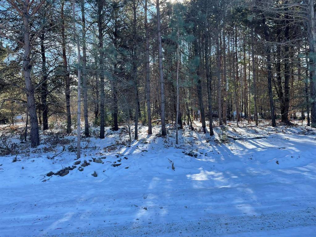 Churchill Twp, MI 48661,P1 Gerald Miller Road