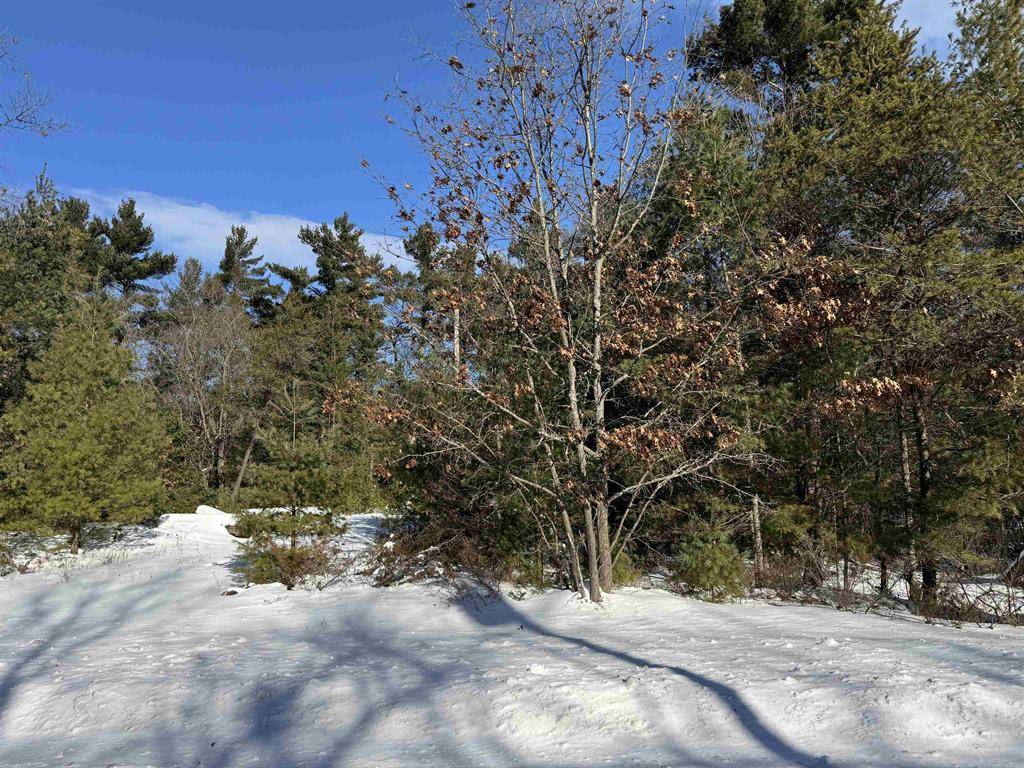 Au Sable Twp, MI 48750,4699 Johnson Road