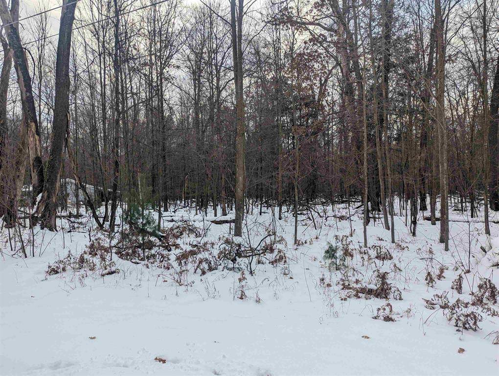 Mills Twp, MI 48756,N/A Georgia Edna Lane Lot: 33