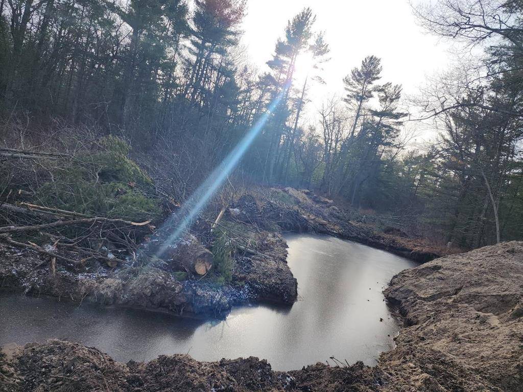 Au Sable Twp, MI 48750,2201 Ausable Point Road