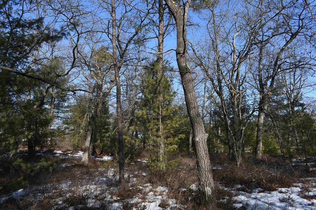 Baldwin Twp, MI 48730,1815 N US-23