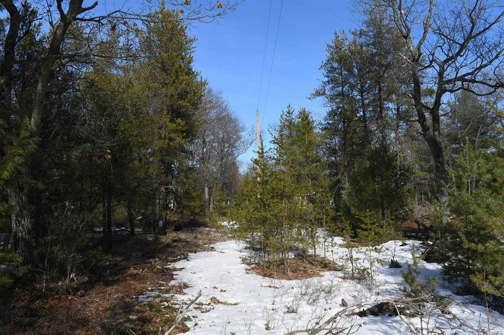Baldwin Twp, MI 48730,1815 N US-23