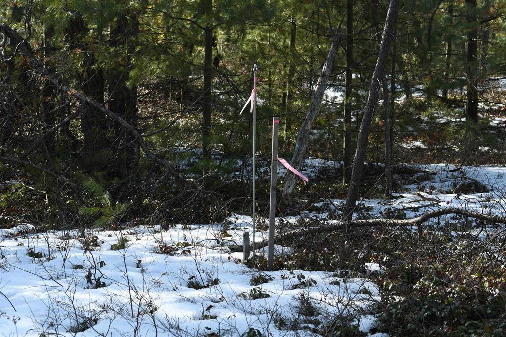 Baldwin Twp, MI 48730,1815 N US-23